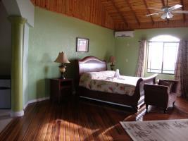 10 Bedroom Guesthouse - Montego Bay シナモン・ヒル エクステリア 写真